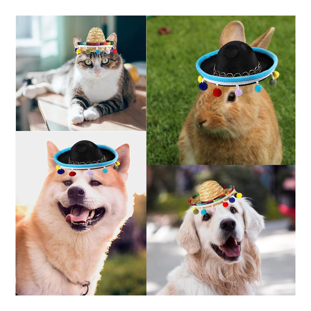 57028c6955250200c40b